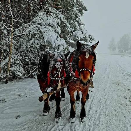Zacna Z Jacuzzi Na Wylacznosc Holiday home Polrzeczki